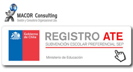 <h2><strong>Registro ATE</strong></h2>